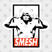 iSmesh