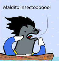 Arop