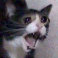 SadCat