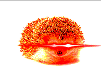 Fried Hedgehog