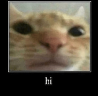 henteioi