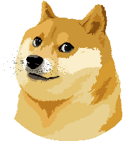 Udon
