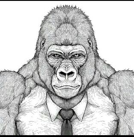 Handsome Gori-kun