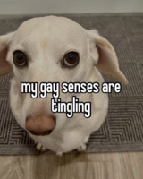 abetterscreenname
