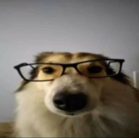 floopie