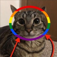catboylover