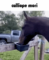 Nedoritfreude