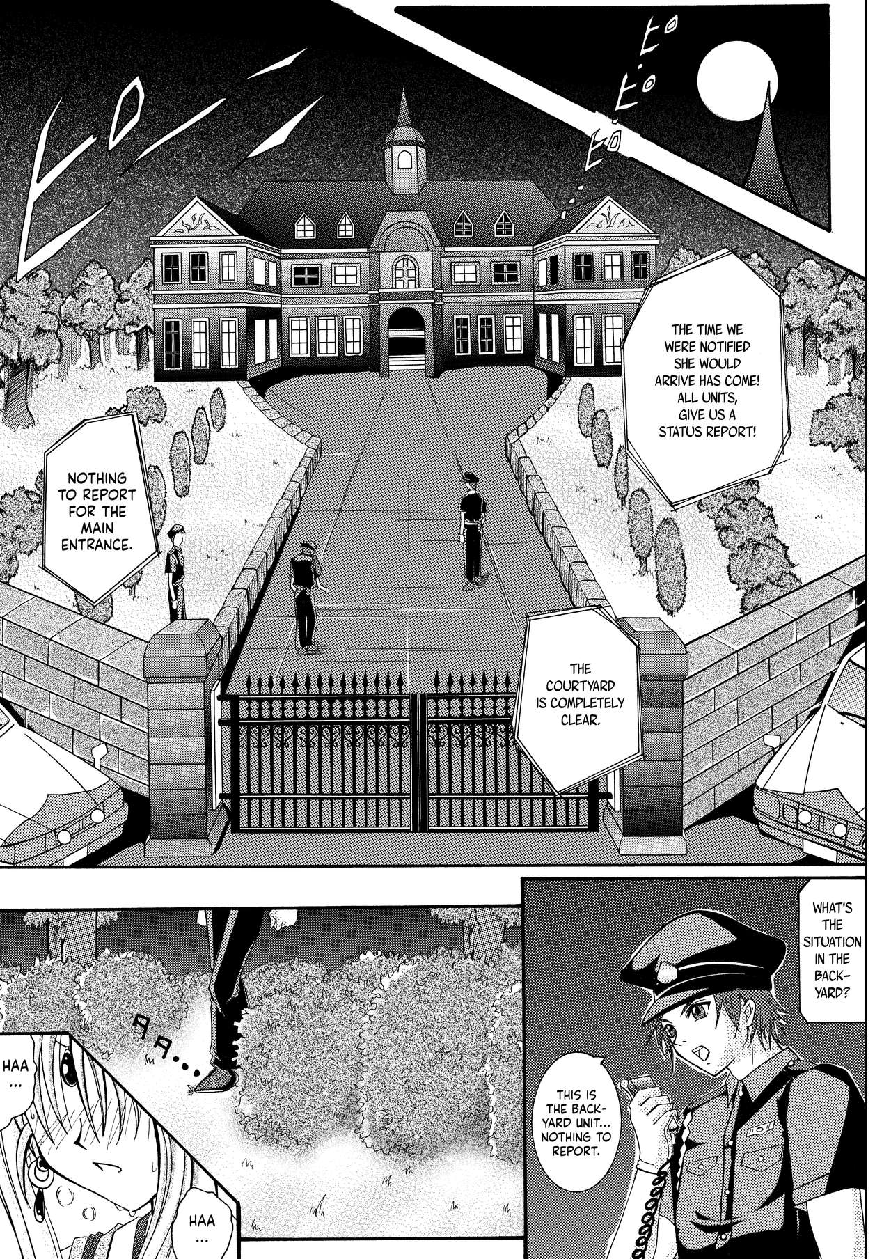 Rogue Spear 208 Download edition - Page 27