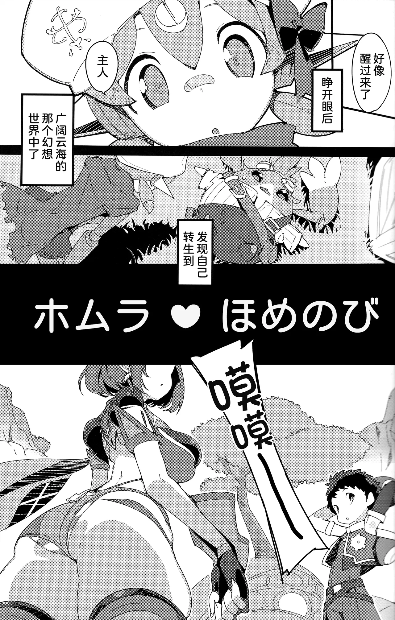 Page 3 of (C100) [Potato Salad (Himekuri)] Homura Homenobi (Xenoblade Chronicles 2) [Chinese] [甜族星人x我不看本子汉化]
