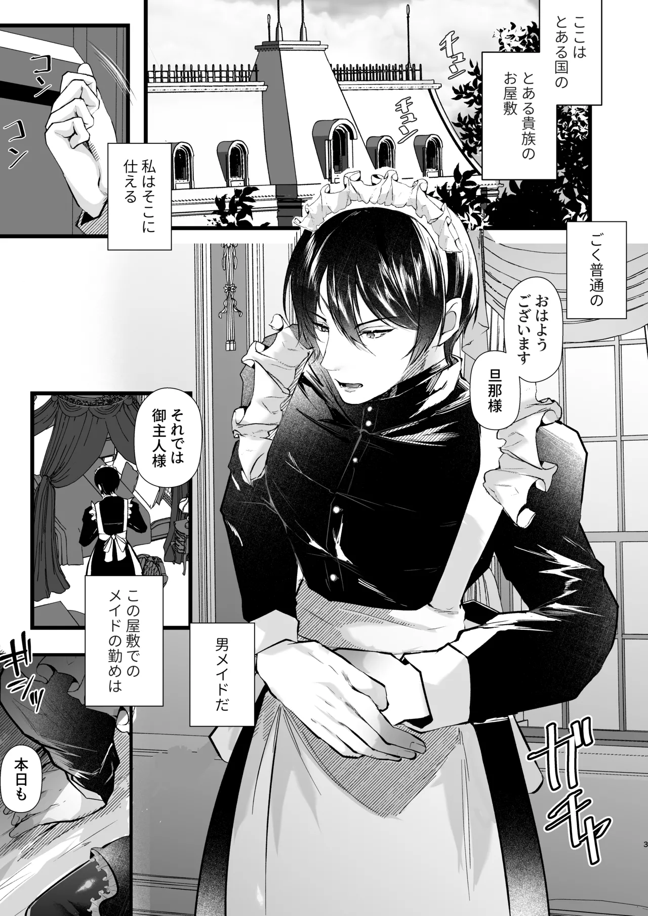 Page 3 of gunzin meido no tada sii situ ke kata