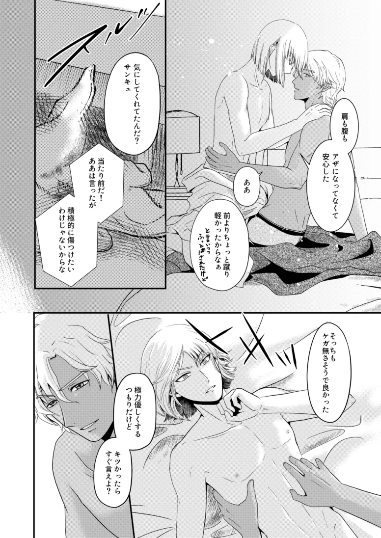 Page 21 of [SFZR (Amatsuki Nao)] Hiyoku no Tori, Renri no Kizuna (Gundam SEED DESTINY) [Digital]