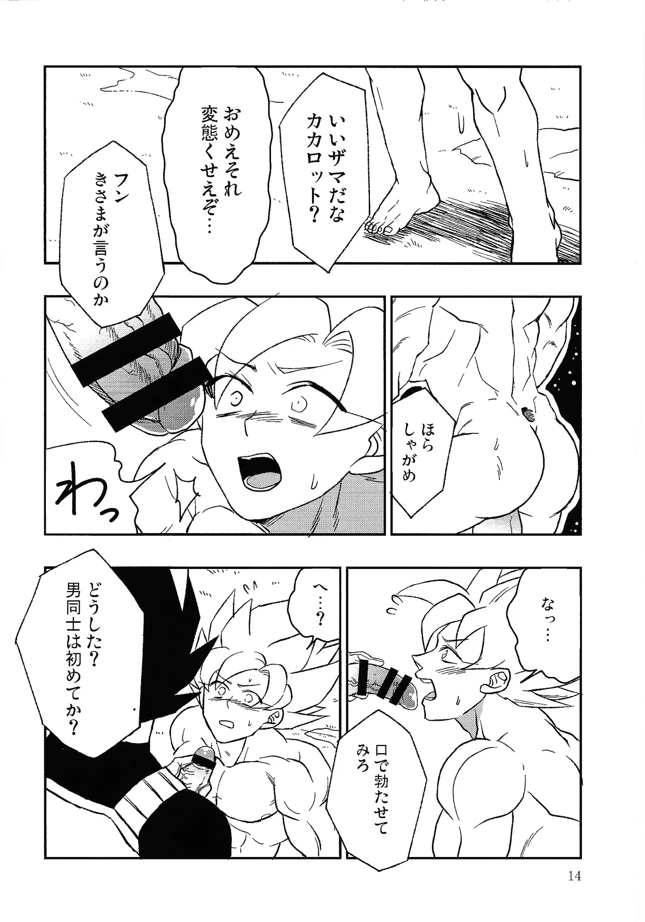 Page 13