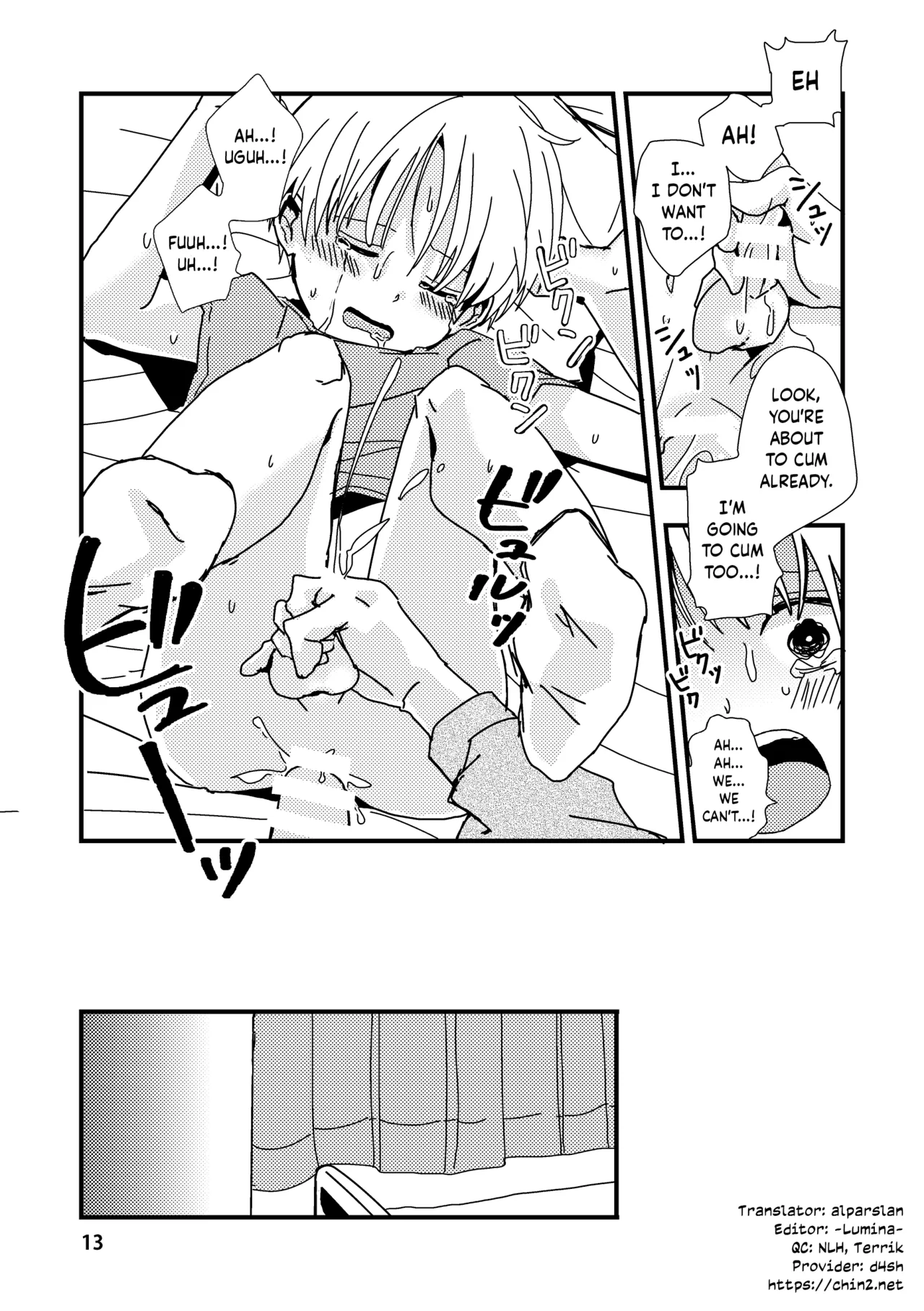 Page 13