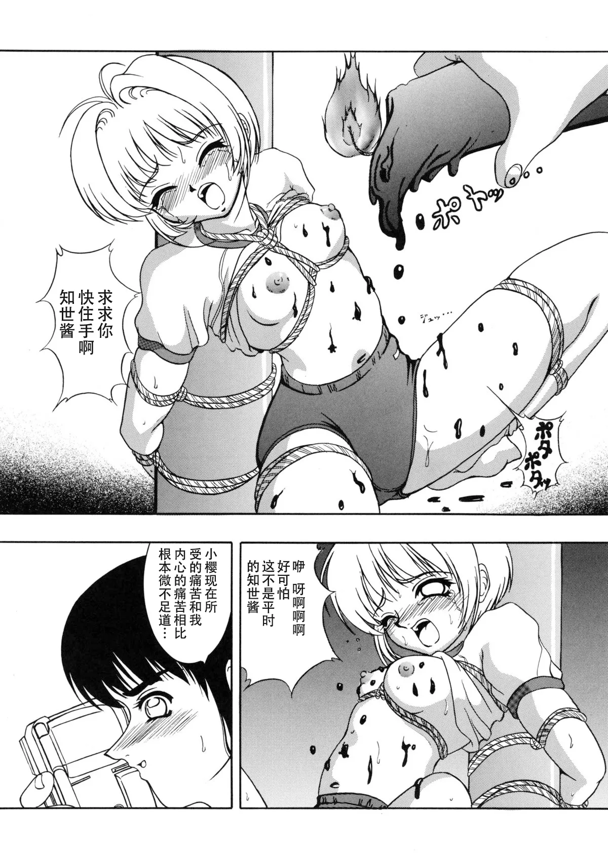 Page 22 of (C57) [Forbidden City (Kikusui)] Hana ni Arashi no Rei hemo Aruzo (Card Captor Sakura) [Chinese][IC个人汉化]