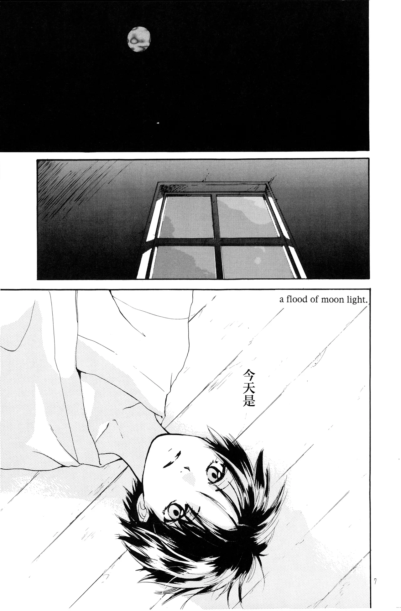 Page 2 of 月光洪水