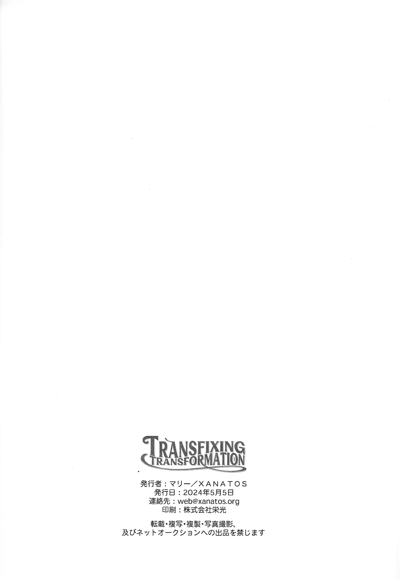 TRANSFIXING TRANSFORMATION page 23 full