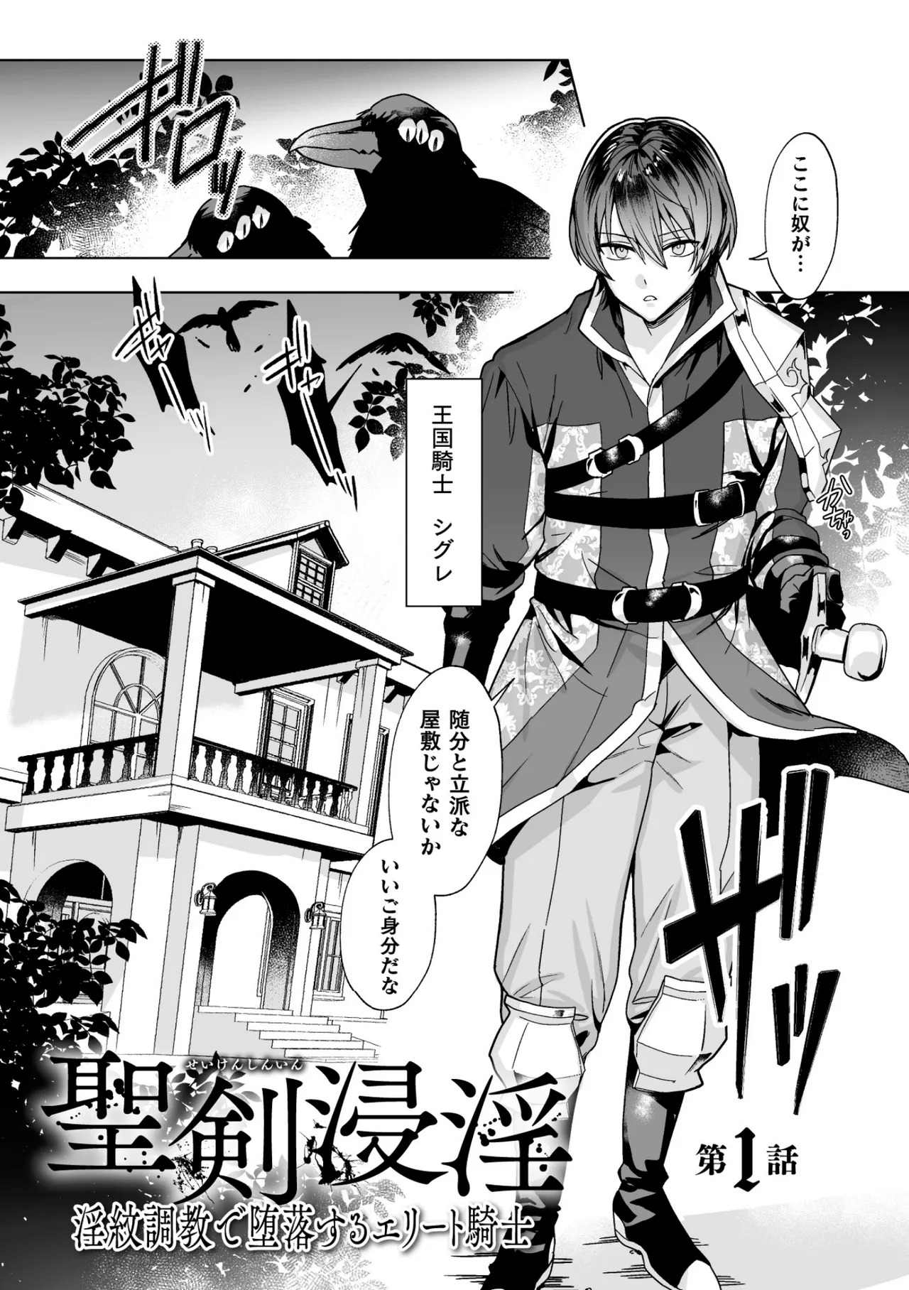 Page 5 of 聖剣浸淫