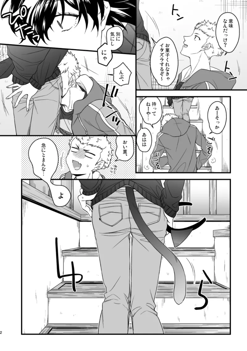 Page 4 of [SUSHIYA (Sushido Ayumu)] fushigi nya ♥ harowin naito (Persona 5)