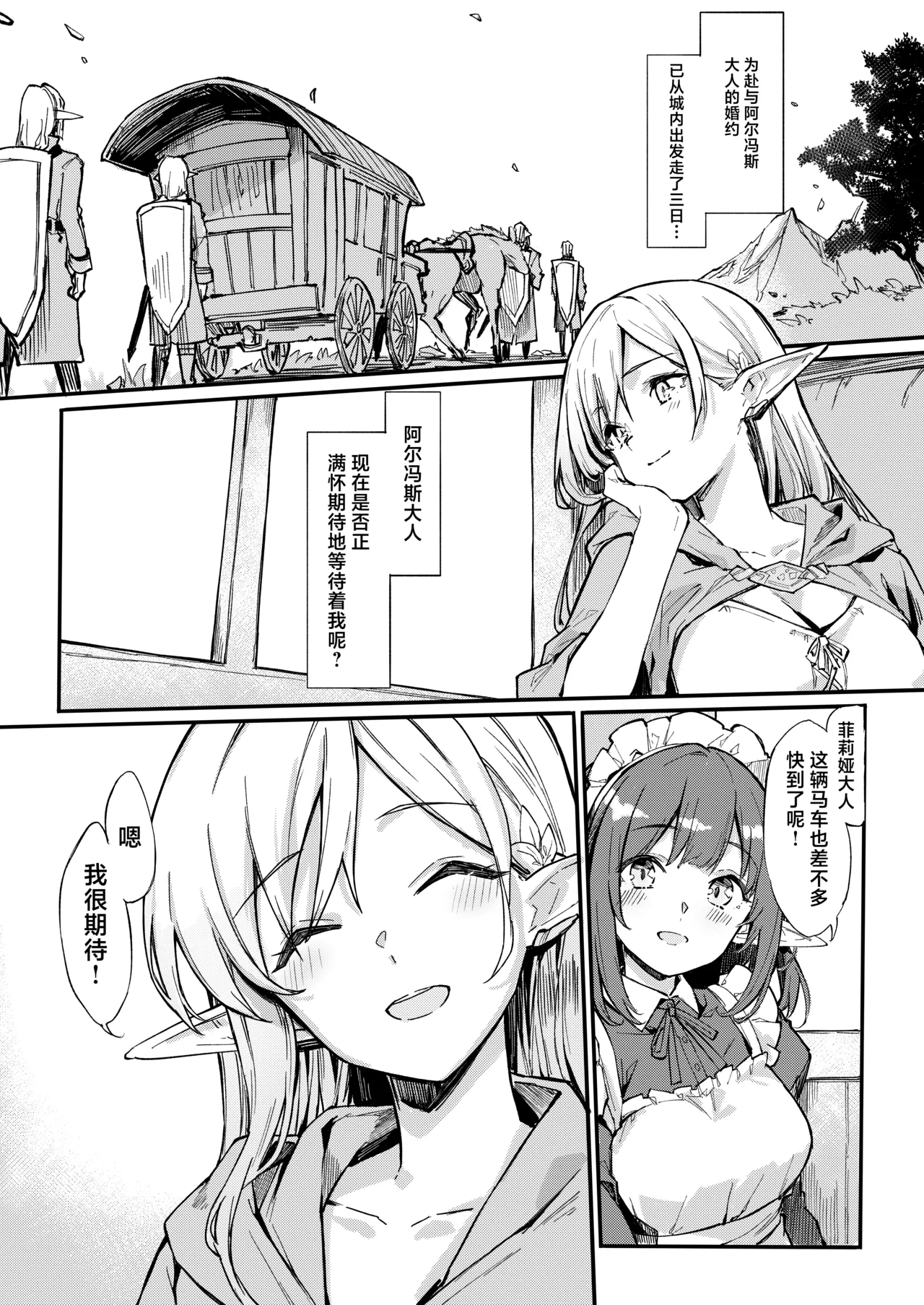 Page 3 of [Doku Marimo] 佣兵团把精灵公主一行人劫掠之后对其为所欲为的故事 [Chinese] [欶澜汉化组]