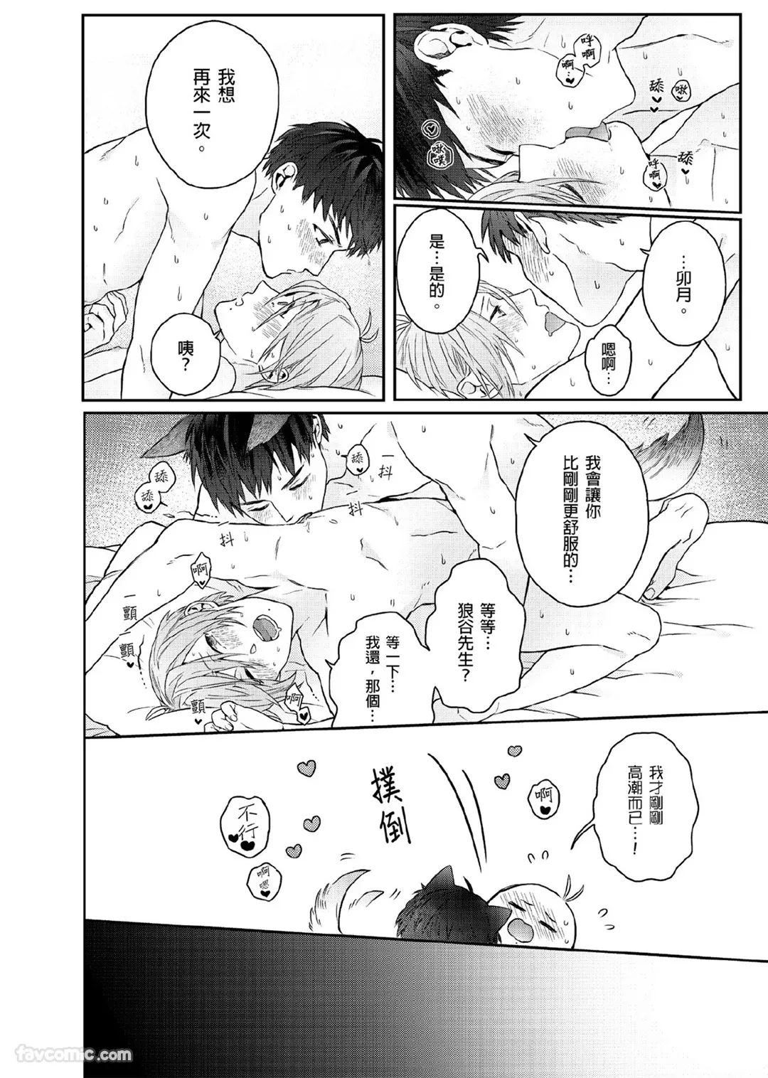 Page 80 of Usagi-chan to Ookami-san ︱好色兔的狼先生攻略记