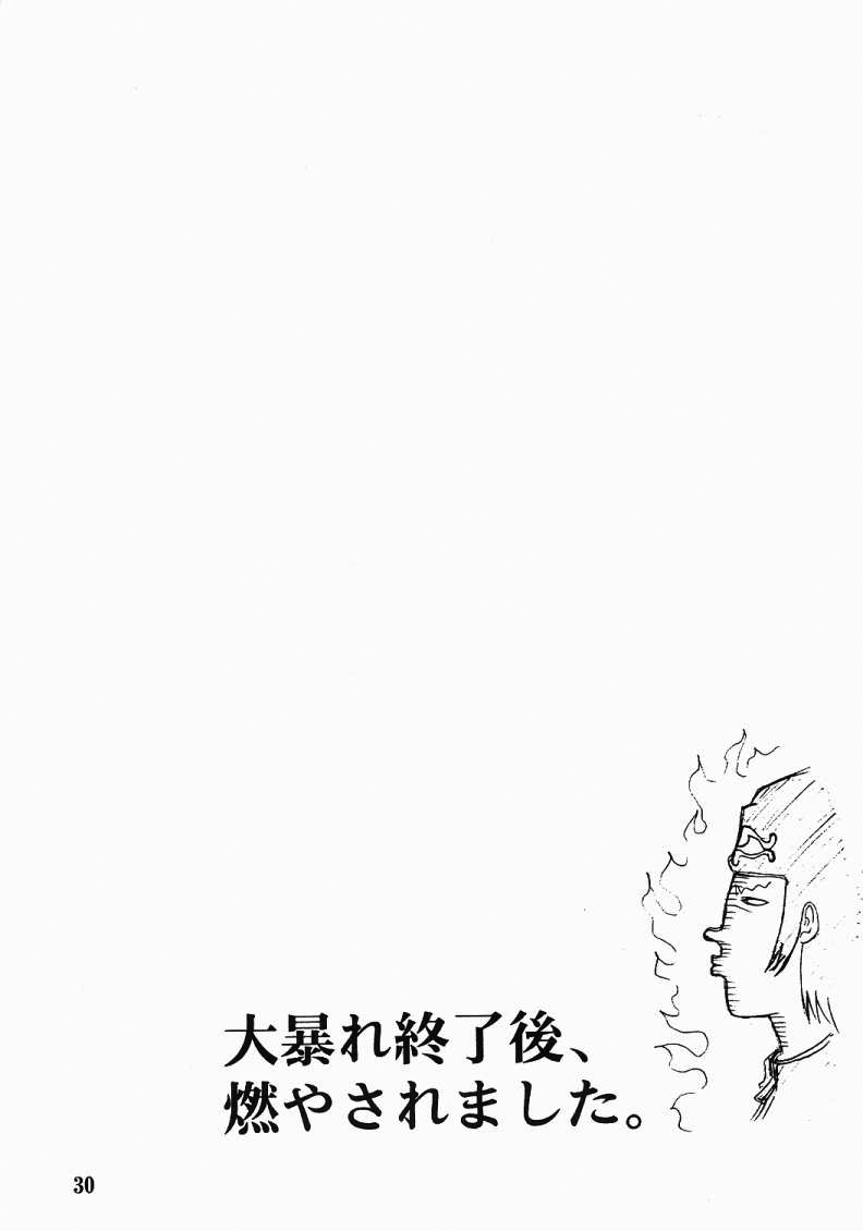 Page 29 of [FAKESTAR (Miharu)] CHAOS STEP (Hellsing) [English] [SaHa]